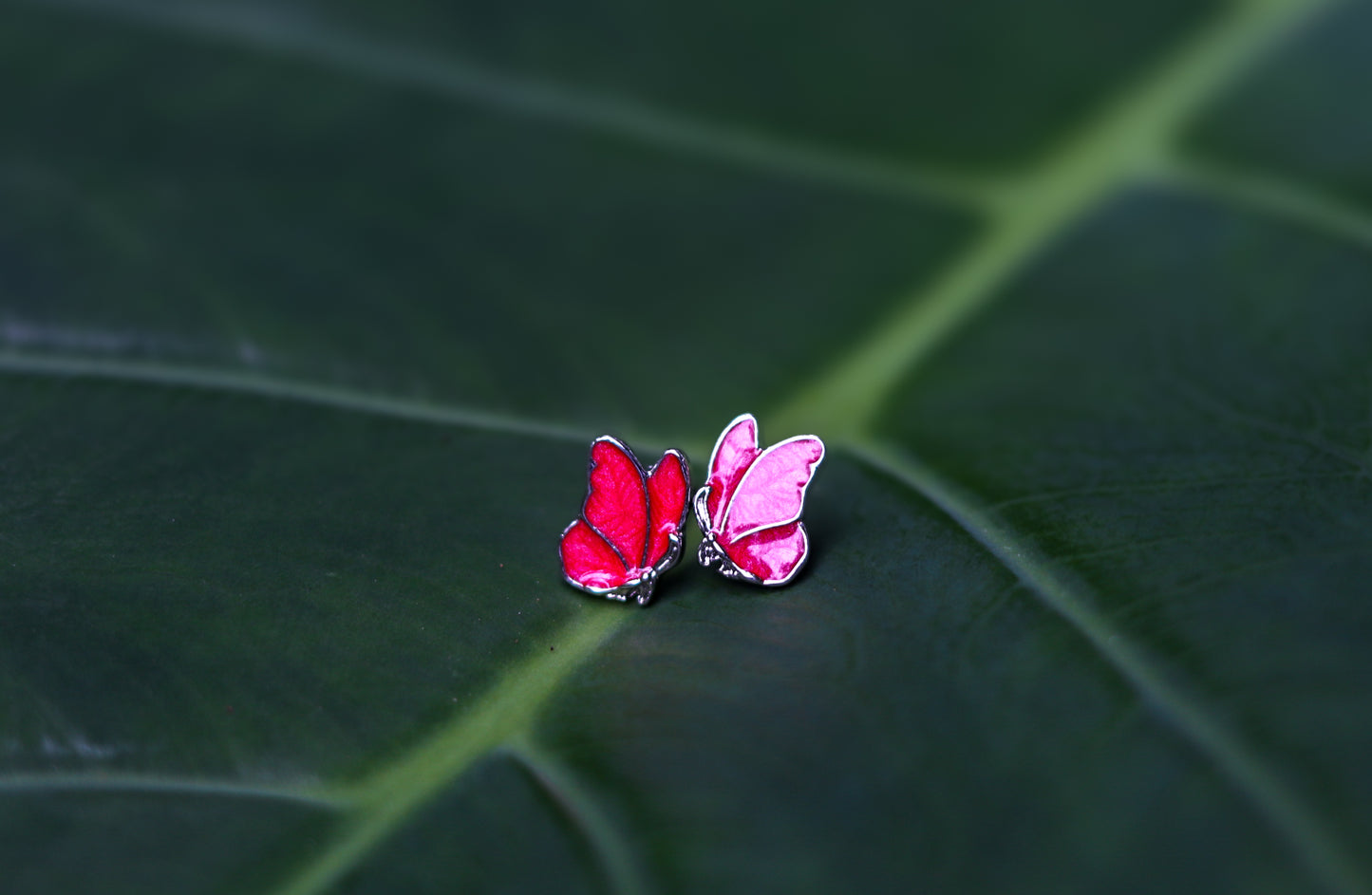 Colourful Butterfly Studs