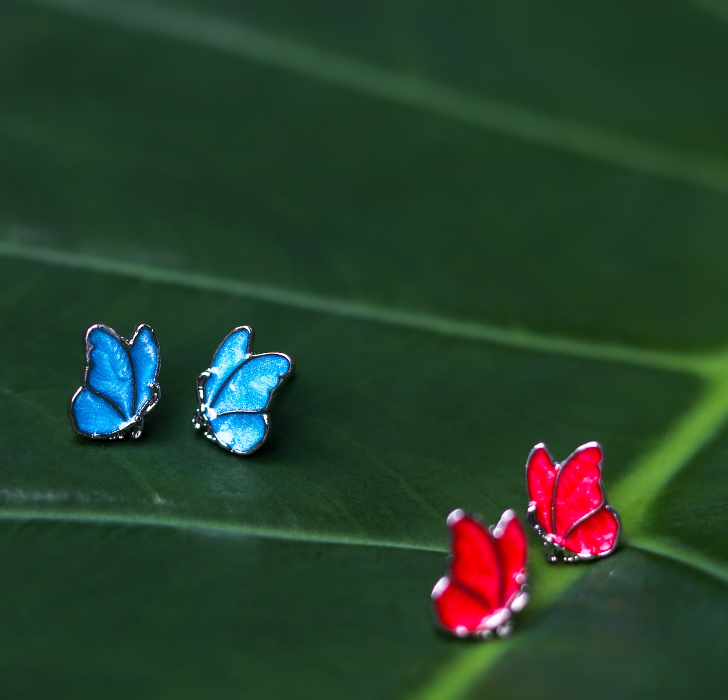 Colourful Butterfly Studs